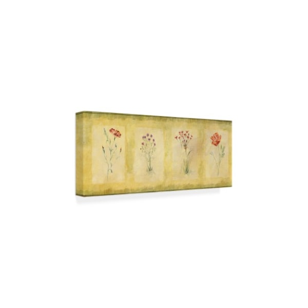 Pablo Esteban 'Pink Four Panel' Canvas Art,20x47